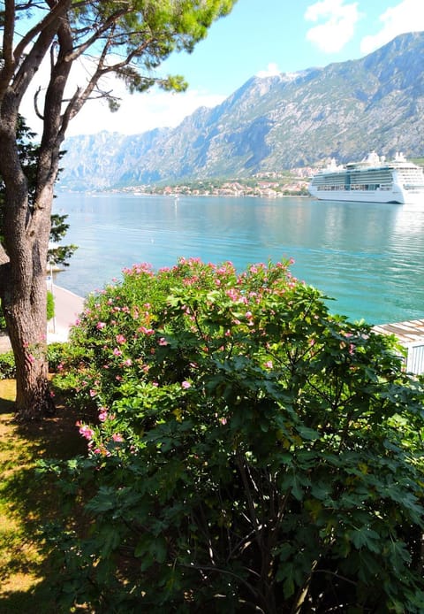 Garden view, Mountain view, Sea view