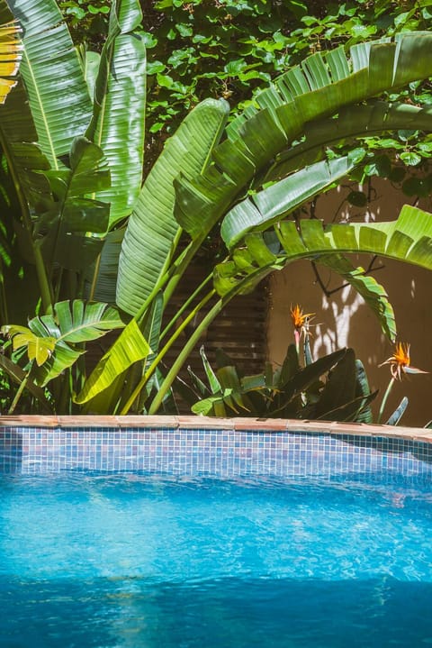 Maison Magdeleine Villa in Saint-Tropez