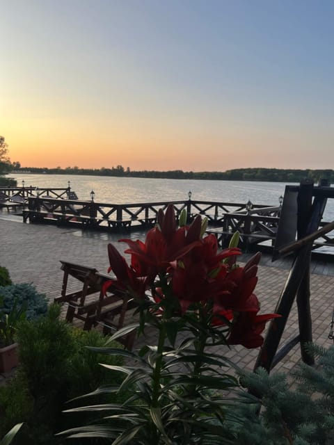 Day, Activities, Lake view, Sunset