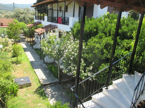 Garden, Balcony/Terrace, Decorative detail