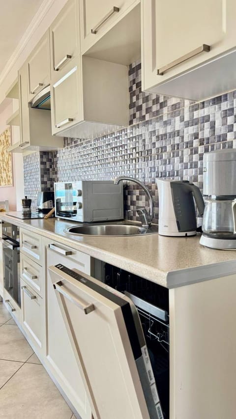 Kitchen or kitchenette, dishwasher, stove, toaster