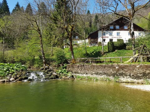 Spring, Day, On site, River view