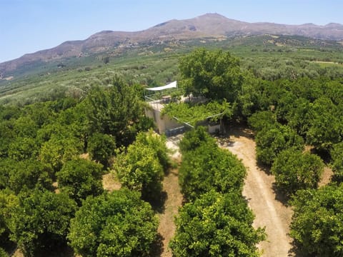 Summer, Garden, On site, Garden view, Mountain view