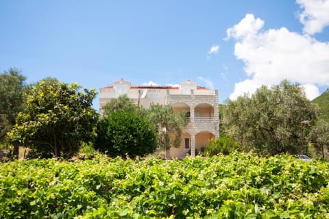 Property building, Garden