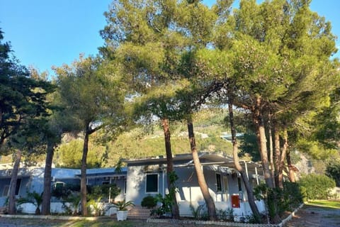 International Camping Village Campground/ 
RV Resort in Praia A Mare