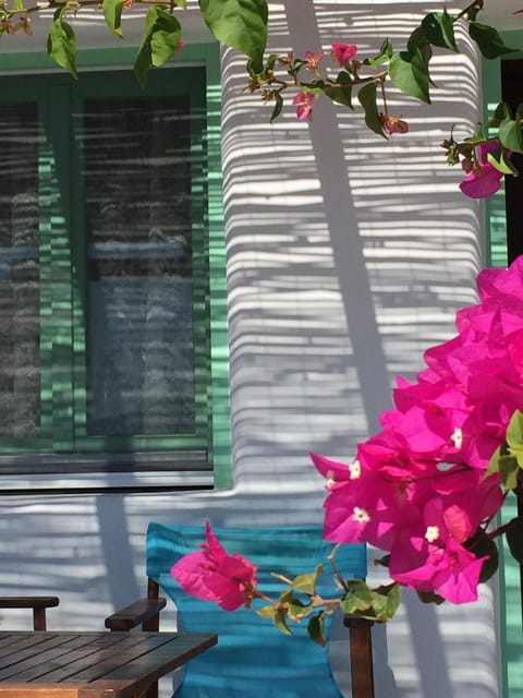 Apollon Koufonisia Studios Apartment in Koufonisia