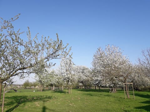 B&B Mussenzele Bed and Breakfast in Flanders