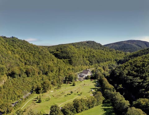 Natural landscape, Garden, On site