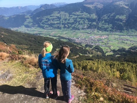 Ferienwohnung Schweiberer Apartment in Uderns