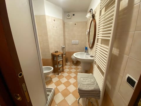 Shower, Toilet, Bathroom, bidet