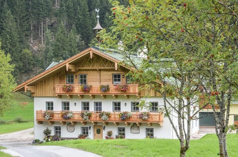Property building, Day, Summer