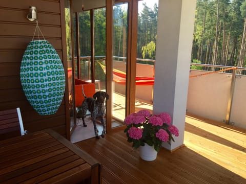 Balcony/Terrace, Pets