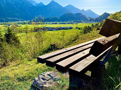 Gutshof zum Schluxen Apartment in Tyrol