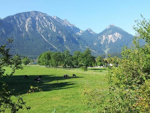 Gutshof zum Schluxen Apartment in Tyrol