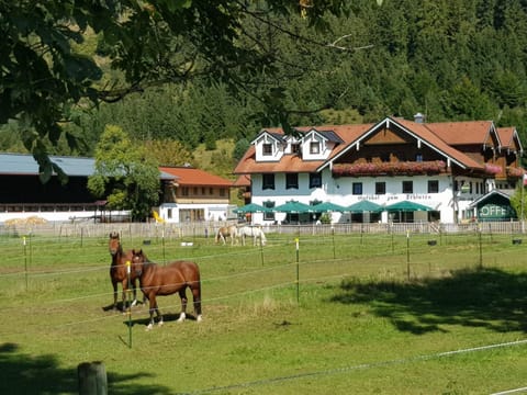 Gutshof zum Schluxen Apartment in Tyrol