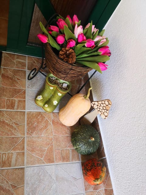 Apartments Zina Apartment in Brela