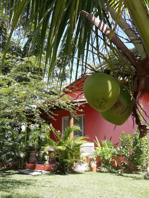 Patio, Garden