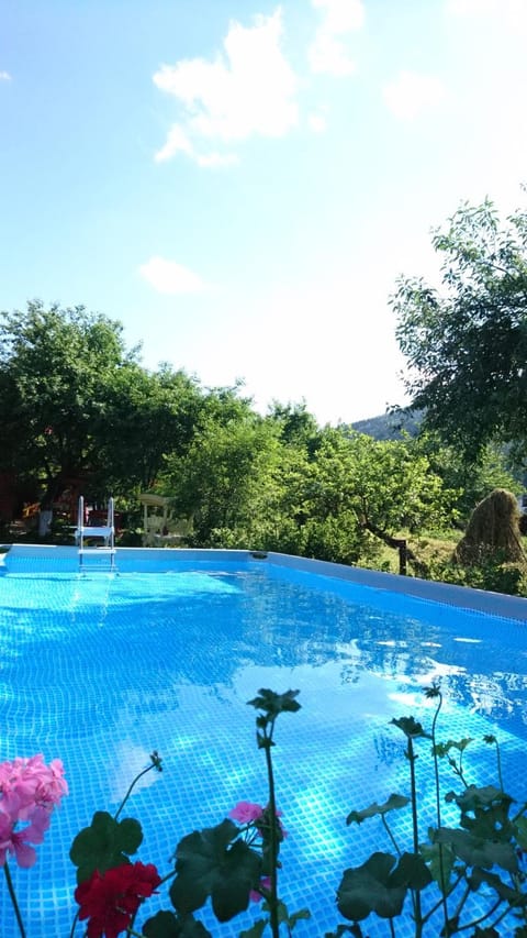 Natural landscape, On site, Pool view, Swimming pool, Swimming pool