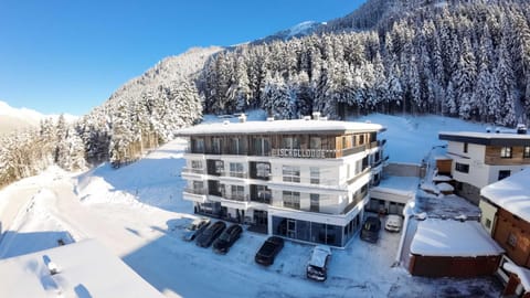 Property building, Day, Natural landscape, Winter, Mountain view