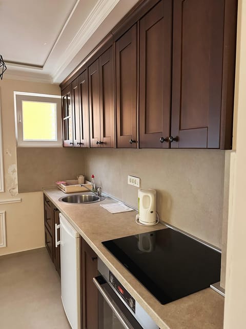 Apartmani Vila Zabljak Villa in Montenegro