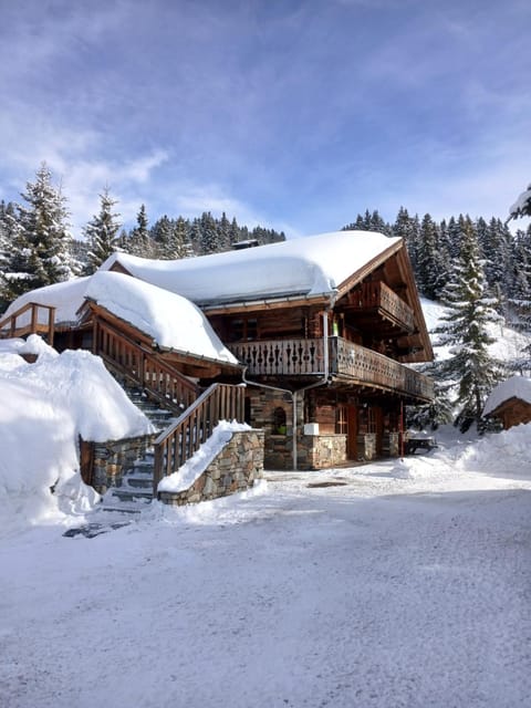 Appartement dans chalet aux saisies-100m des pistes-cœur station 13 pers House in Villard-sur-Doron