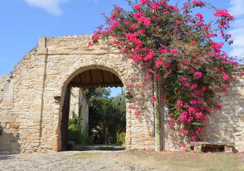 Property building, Garden view