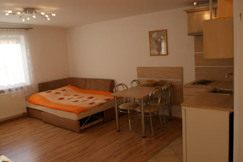 Willa Sara Vacation rental in Pomeranian Voivodeship