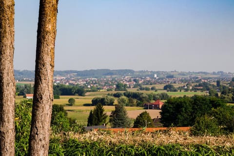 Natural landscape, Garden view