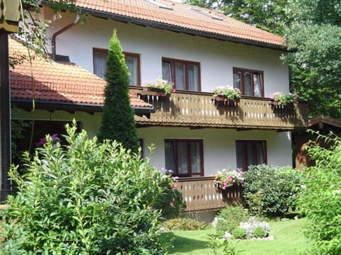 Summer, Garden