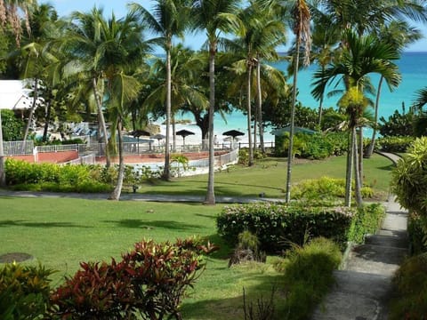 Garden, Beach, Garden view, Sea view