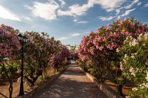 Day, Natural landscape, Garden, Garden view