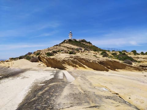 Natural landscape, Beach, Hiking