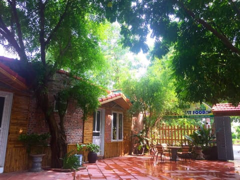 Property building, Spring, Day, Garden, Garden view