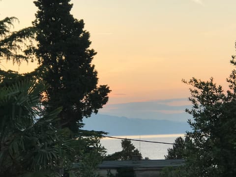 Sea view