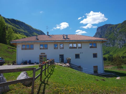 Property building, Facade/entrance, View (from property/room), Garden view