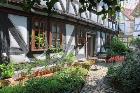 Facade/entrance, Garden