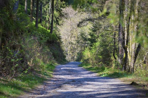 Natural landscape, Hiking
