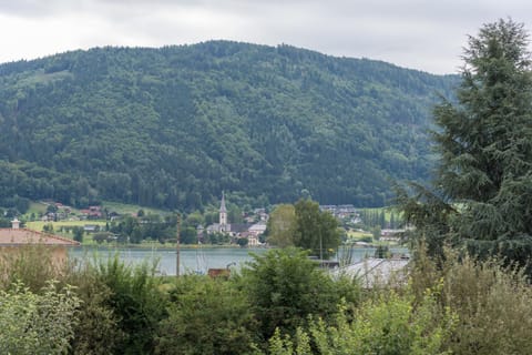 Balcony/Terrace, Lake view