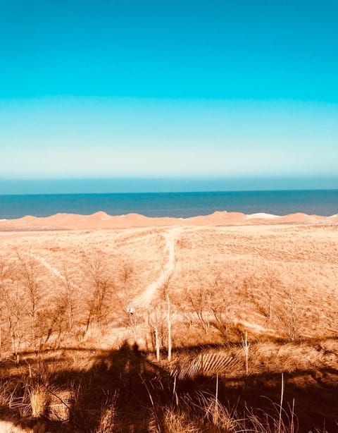 Walking Distance To Beach And Shops House in New Buffalo