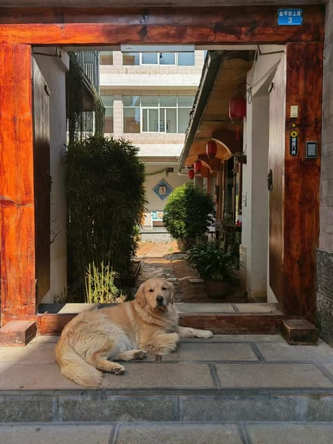 Property building, Pets