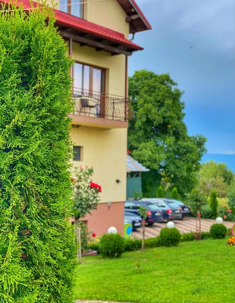 Property building, Day, Natural landscape, Summer, Garden view
