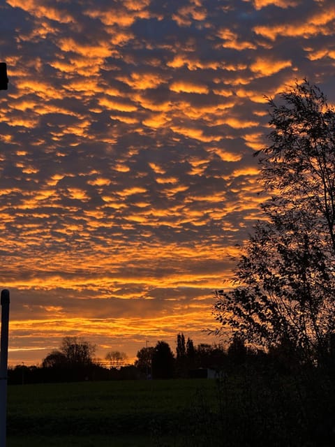 B&B De Rentmeesterhoeve Bed and Breakfast in Flanders