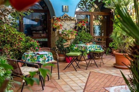 Patio, Garden, Garden view, Inner courtyard view