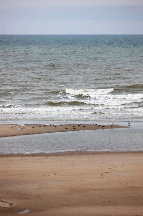 Natural landscape, Beach, Sea view, Area and facilities