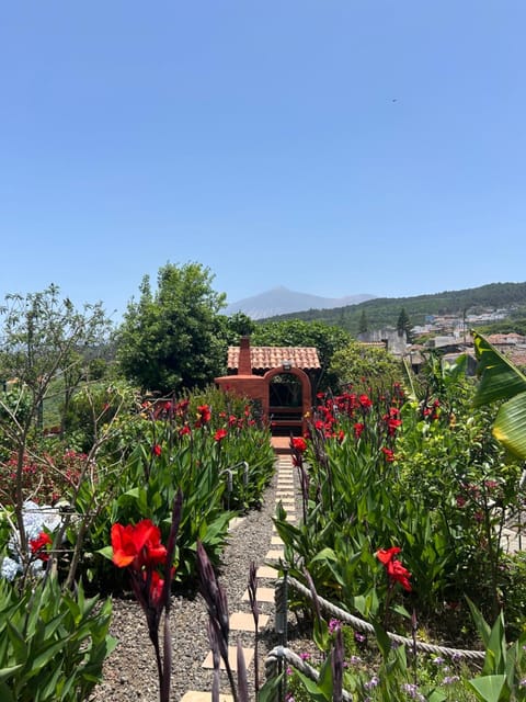 Garden, Garden view, Mountain view