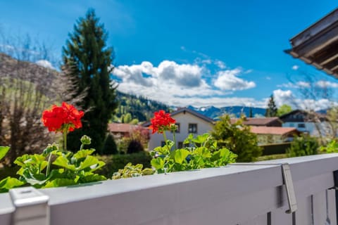 Balcony/Terrace, Mountain view