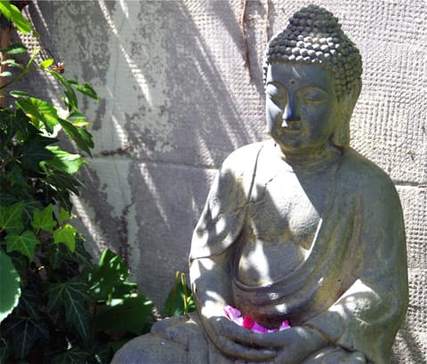 Balcony/Terrace, Garden view