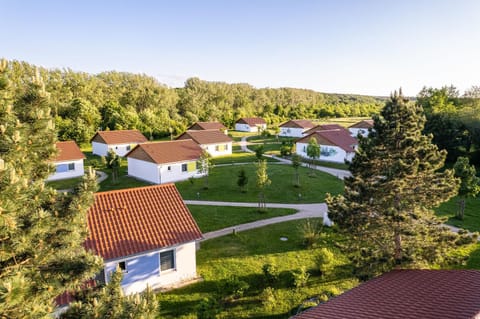 Bird's eye view, Garden