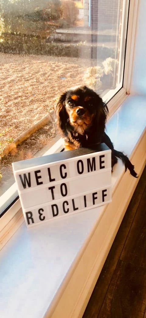 Logo/Certificate/Sign