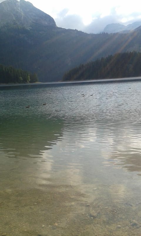 Apartment MG House in Montenegro